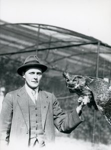 Un Hibou Grand-Duc tenu par J. Bailey, Surveillant des Oiseaux au Zoo de Londres pendant trente ans. Juin 1920 - Frederick William Bond